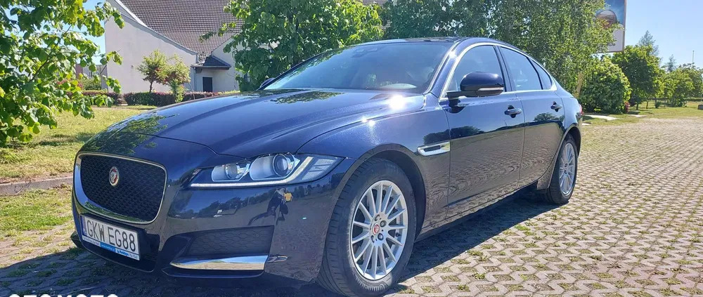 pomorskie Jaguar XF cena 84900 przebieg: 198000, rok produkcji 2019 z Kwidzyn